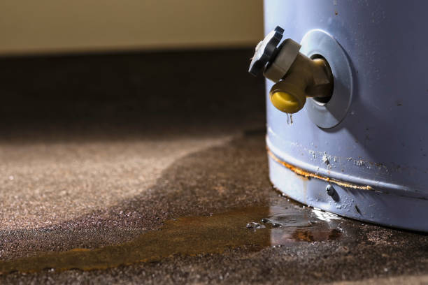 Reliable Hawthorne, FL Water damage restoration Solutions