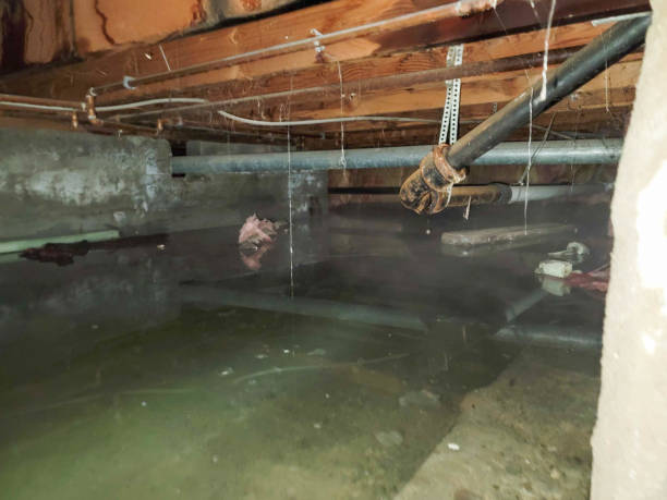 Reliable Hawthorne, FL Water damage restoration Solutions
