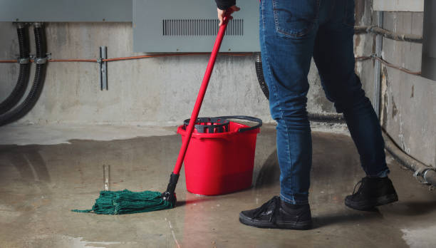 Best Flooded house restoration  in Hawthorne, FL