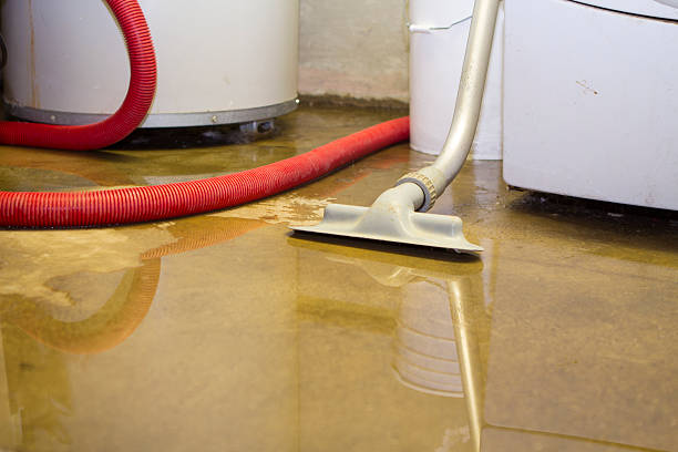 Best Ceiling water damage repair  in Hawthorne, FL