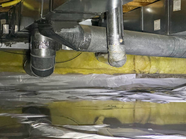 Best Fire Damage Restoration  in Hawthorne, FL