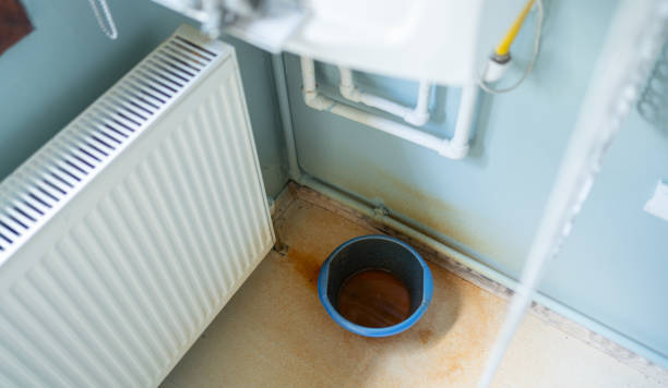 Best 24-hour water damage restoration  in Hawthorne, FL