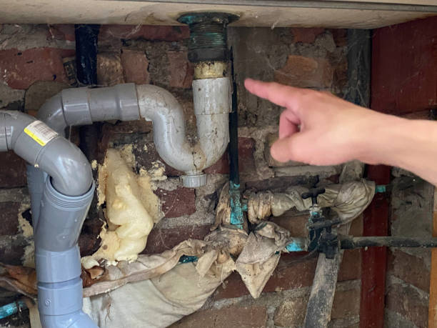Best Flood damage cleanup  in Hawthorne, FL
